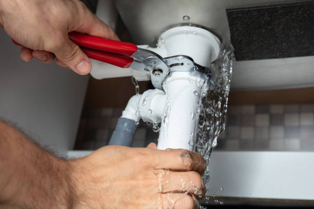 Best Flood damage cleanup  in Riceville, TN