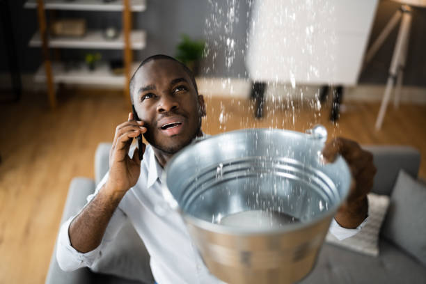 Best Water damage cleanup near me  in Riceville, TN
