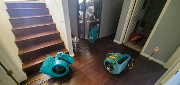 Best Flooded house restoration  in Riceville, TN