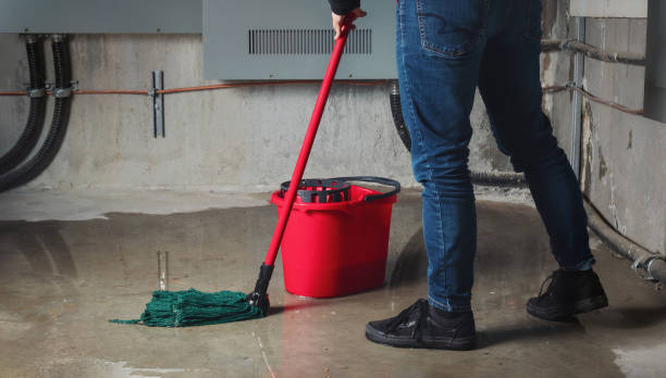 Best Flood restoration services  in Riceville, TN