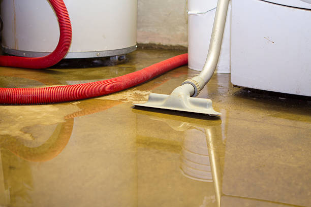  Riceville, TN Water damage restoration Pros