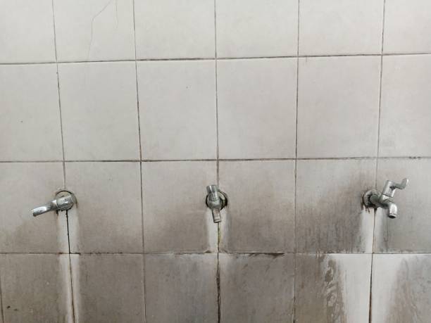 Best Water damage contractors near me  in Riceville, TN