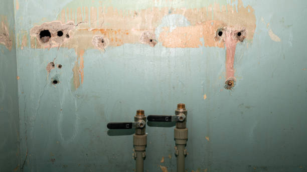 Best Residential water damage restoration  in Riceville, TN