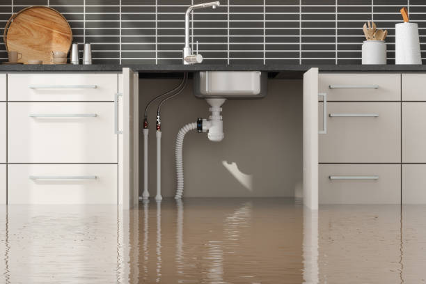 Best Mold removal after water damage  in Riceville, TN