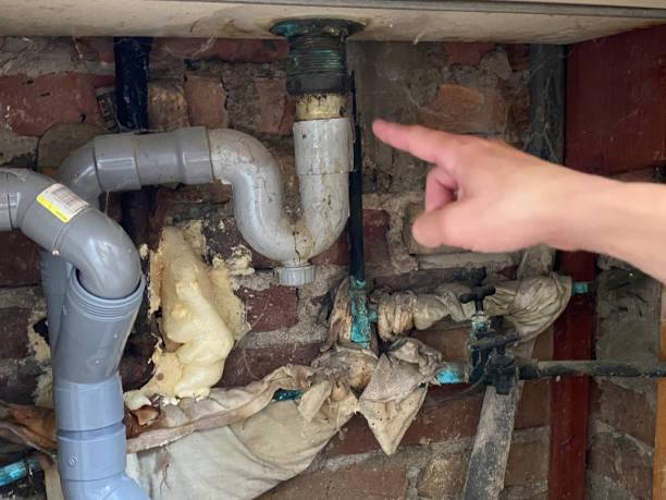 Reliable TN Water damage restoration Solutions