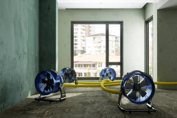 Best 24-hour water damage restoration  in Riceville, TN